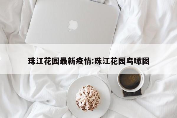 珠江花园最新疫情:珠江花园鸟瞰图