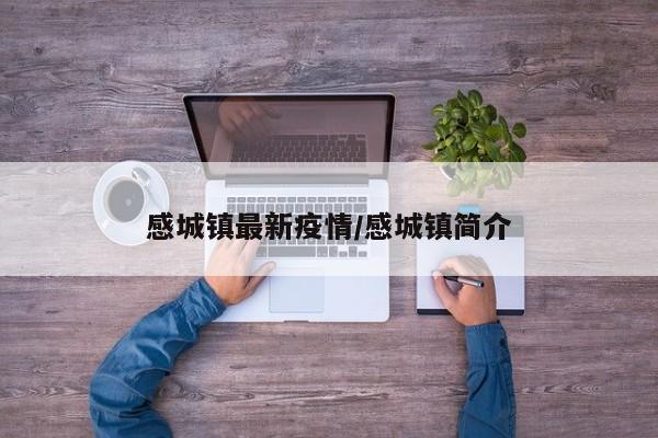 感城镇最新疫情/感城镇简介